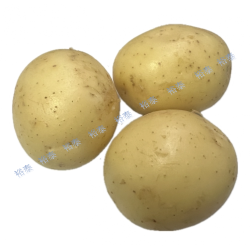 中國新薯（薯仔蛋）